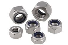 Nuts Importer & Stockist in Thailand